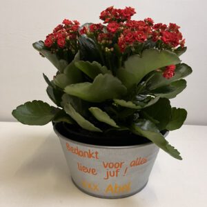 Teiltje